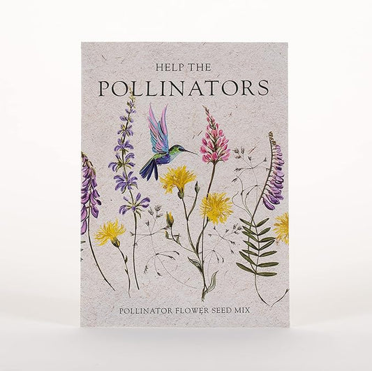 Bentley Seed Co. | Help Pollinators Kraft Hummingbird | 25 Non-GMO, Non-Coated Wildflower Seed Packets for Planting | Flower Seeds | Garden Seed to Grow Live Plants | A Beautiful Gift