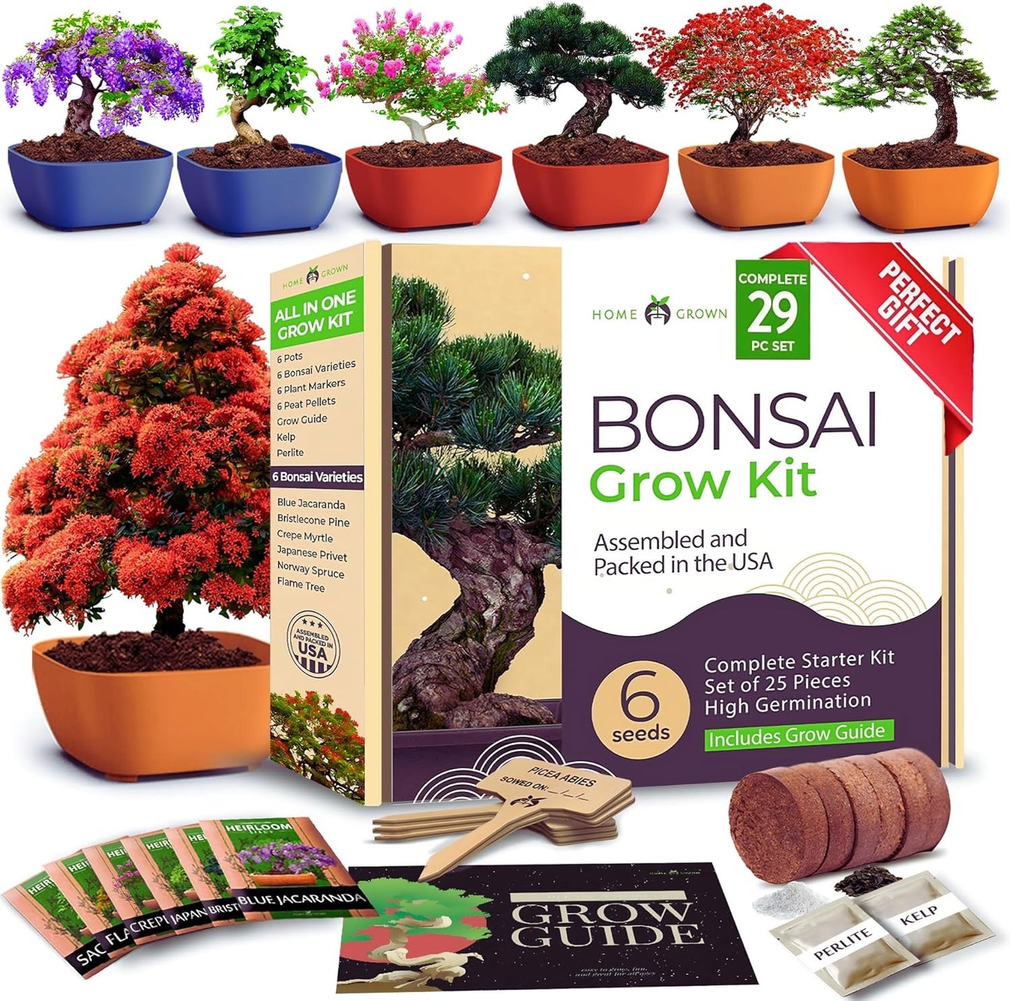 HOME GROWN 𝗨𝗦𝗔 Bonsai Tree Kit – 6 Heirloom Varieties with Unique Pots – DIY Bonsai Starter Kit for Adults & Beginners – Christmas Gift for Men Women Gardeners Plant Lovers – Indoor Growing Kit