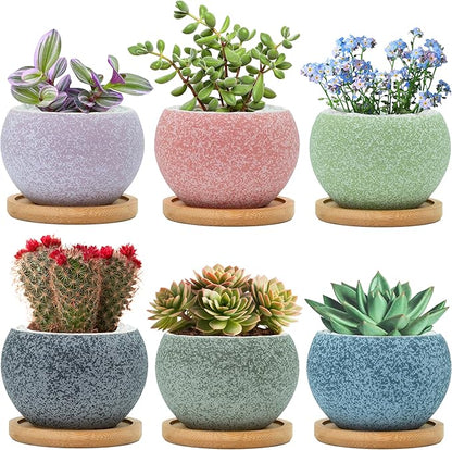 3 inch Ceramic pots for Plants, Small Succulent Pots Set with Drainage, 6 Pack Flower Pot for Indoor Plant, Planters for Little or mini Cactus 2 inches Plants