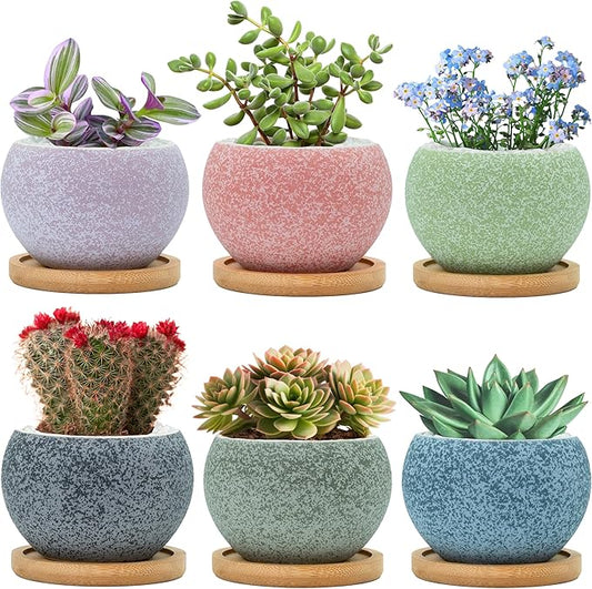 3 inch Ceramic pots for Plants, Small Succulent Pots Set with Drainage, 6 Pack Flower Pot for Indoor Plant, Planters for Little or mini Cactus 2 inches Plants
