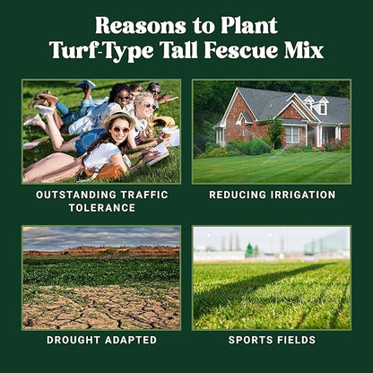 Nature’s Seed Triple-Play Turf Type Tall Fescue Grass Seed Blend, High-Traffic, Heat and Drought Tolerant, for Garden, Lawn, Yard, 5 Lbs