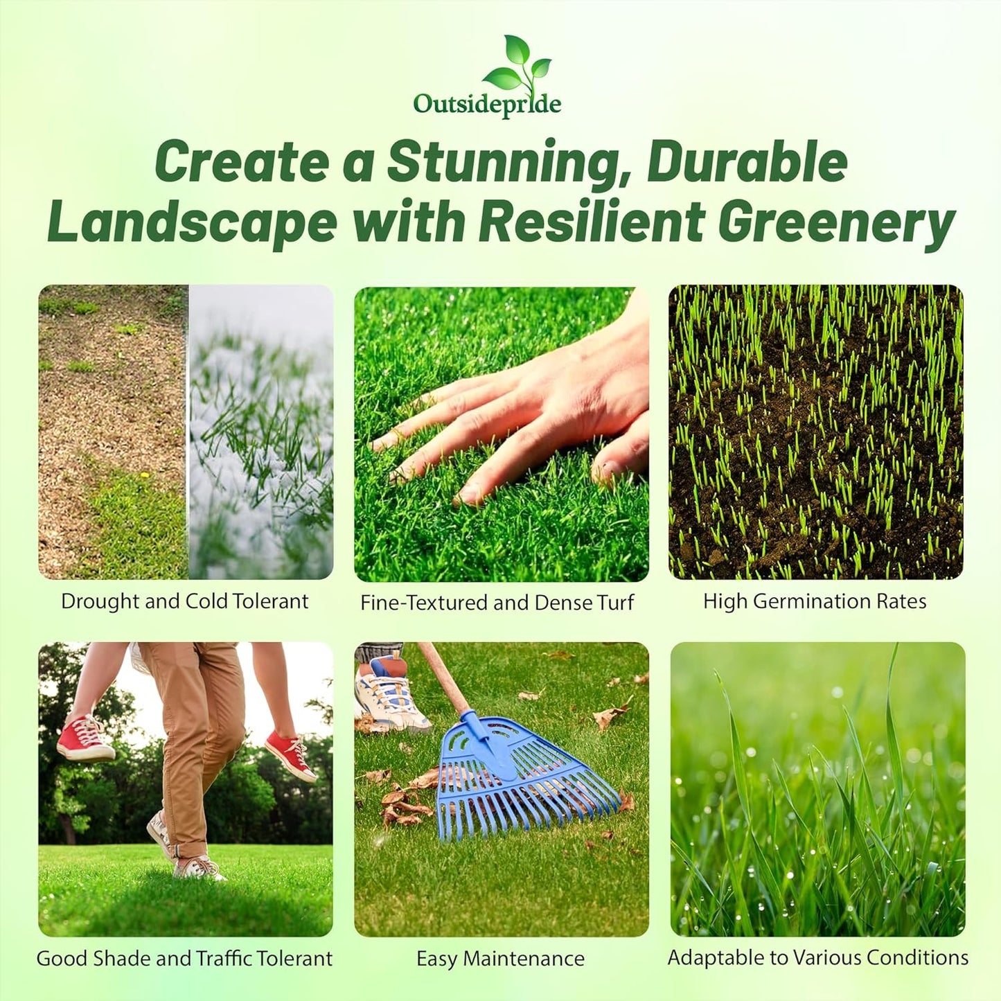 Outsidepride Maya (Blackjack II) Bermuda Grass Seed - 5 lbs Warm Season, Drought Tolerant, Fast Growing, Fine-Textured Bermuda Grass Seeds for Lawn, Parks, Golf Courses & Sports Fields