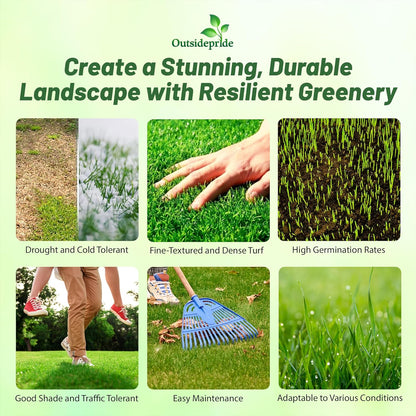 Outsidepride Maya (Blackjack II) Bermuda Grass Seed - 5 lbs Warm Season, Drought Tolerant, Fast Growing, Fine-Textured Bermuda Grass Seeds for Lawn, Parks, Golf Courses & Sports Fields