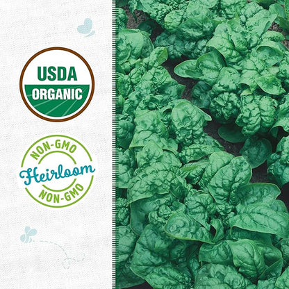 Back to The Roots 100% Organic Heirloom Seeds - Spinach Value Pack (2g Total)