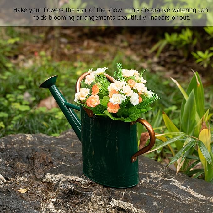 Gardenised 1 Gallon Galvanized Metal Watering Can with Removable Long Spout & Sprinkler Head for Indoor & Outdoor Use Ideal for Garden Flowers Potted Plants Houseplants Modern Home Accessories, Green