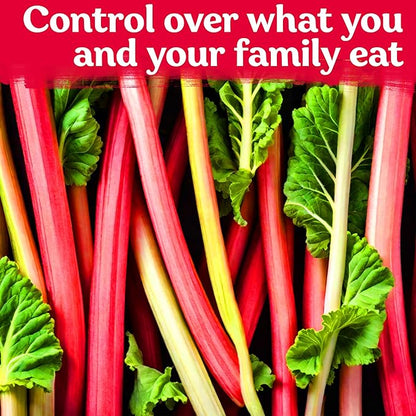 KVITER 50 Red Victoria Rhubarb Seeds for Planting (Rheum Rhabarbarum) – Organic & Heirloom Seeds, Perennial Vegetable Seeds – Perfect for Rhubarb Jam & Pies, Grow in Beds & Outdoor Garden