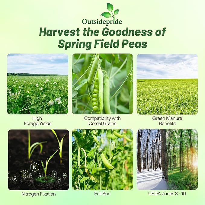 Outsidepride Dundale Spring Field Peas Seeds - 20 lbs. Annual, High-Protein Legume & Cover Crop Seeds for Forage, Food Plot, Gardens & Pastures - Ideal for Improving Soil Health, & Erosion Control