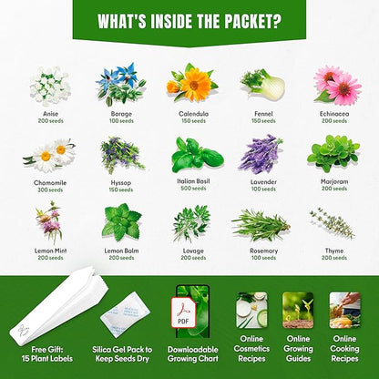 15 Medicinal & Herbal Tea Seeds Variety Pack Home Garden Kit Plant Markers 2950+ Non-GMO Heirloom Indoor Hydroponic Outdoors Planting Herb Anise Basil Calendula Fennel Mint Rosemary Lavender Chamomile