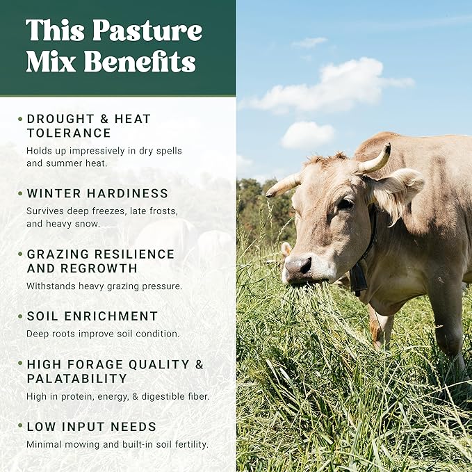 Nature's Seed Northern/Transitional Dairy Cow and Cattle Forage Mix, Pasture Grass Seed Blend, Protein-Rich, Cold-Hardy, 10 lbs