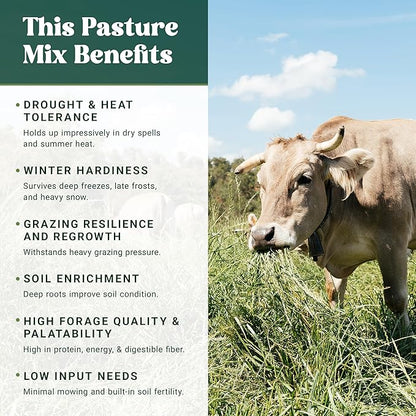 Nature's Seed Northern/Transitional Dairy Cow and Cattle Forage Mix, Pasture Grass Seed Blend, Protein-Rich, Cold-Hardy, 10 lbs
