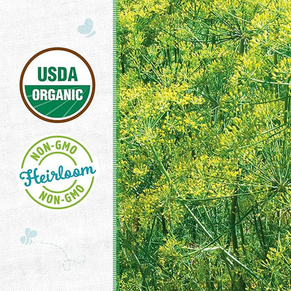 Back to The Roots 100% Organic Heirloom Seeds - Dill Herb Value Pack (2g Total)