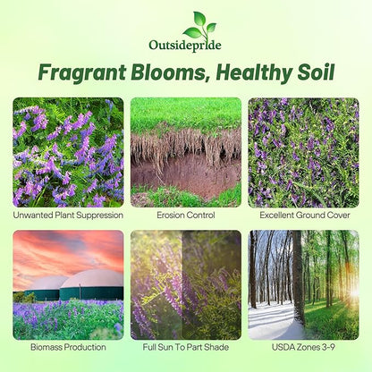 Outsidepride Hairy Vetch Cover Crop Seeds - 10 Lbs Cold Tolerant, Winter Hardy - Ideal for Soil Improvement, Green Pasture, Hay & Livestock Forage - Pollinator Friendly Garden Seeds, Ground Cover