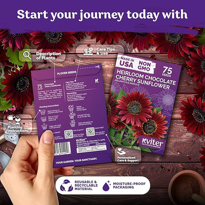 KVITER 75 Chocolate Cherry Sunflower Seeds to Plant (Helianthus annuus) – Heirloom Seed Non GMO Organic Sunflowers Variety, Long Vase-Life Blooms – Flower Seeds for Planting in Home Garden