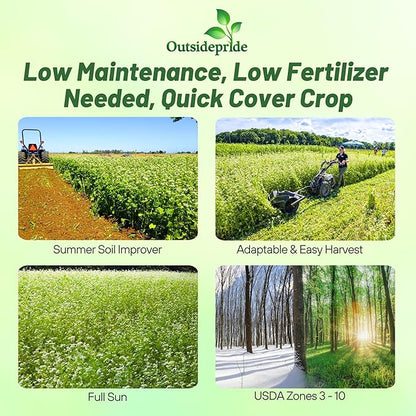 Outsidepride Buckwheat Seeds - 5lbs Annual, Fast-Growing, Easy to Grow Buckwheat Cover Crop Seeds for Green Manure, Bee Pasture & Pollinators, Wildlife Habitat, Soil Improvement, and Erosion Control