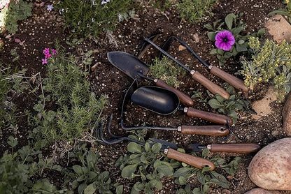 Barebones Garden Scoop - Garden Spoon - Stainless Steel Small Hand Shovel for Transplanting, Digging, and Planting - Great Home Gardening Hand Tools (Walnut/Black)