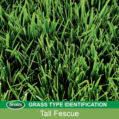 Scotts Turf Builder Grass Seed Tall Fescue Mix, Grows Deep Roots for a Durable, Livable Lawn, 3 lbs.