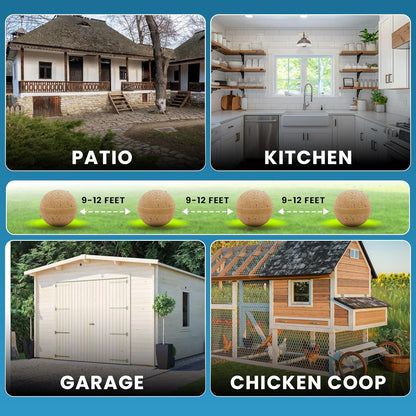 Rodent Repellent Balls – 24-Pack + 1 Trap – Powerful Natural Pest Control for Mice, Rats, Squirrels – Long-Lasting Indoor Protection, Child & Pet Safe