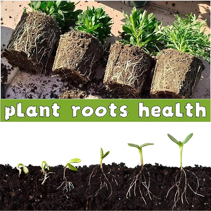 580 Cells Peat Pots Seed Starter Tray 58 Packs Biodegradable Seedling Pots Germination Trays Peat Pot for Seedling Organic Seed Starting Trays kit with 58 Labels 2 Transplant Tools