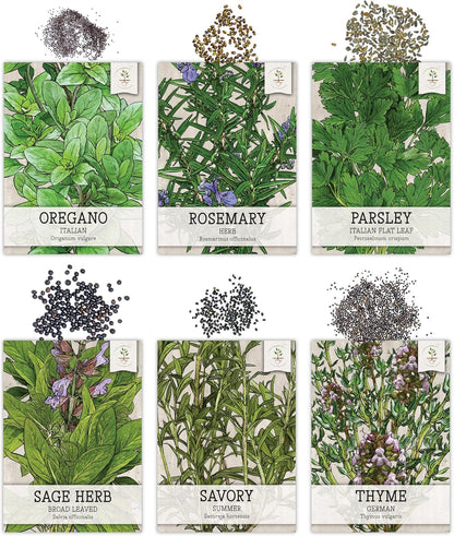 Seed Needs Herb Seeds Variety Pack Culinary Herb Collection (12 Individual Packets for Planting Indoors or Outdoors) Grow Your Own Herb Garden - Heirloom, Non-GMO