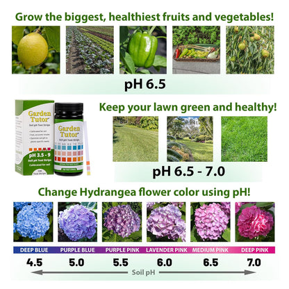 Garden Tutor Soil pH Test Kit – 100 Strips with AI-Powered Web Reader – Accurate Testing for Lawn, Garden & Compost – pH 3.5–9