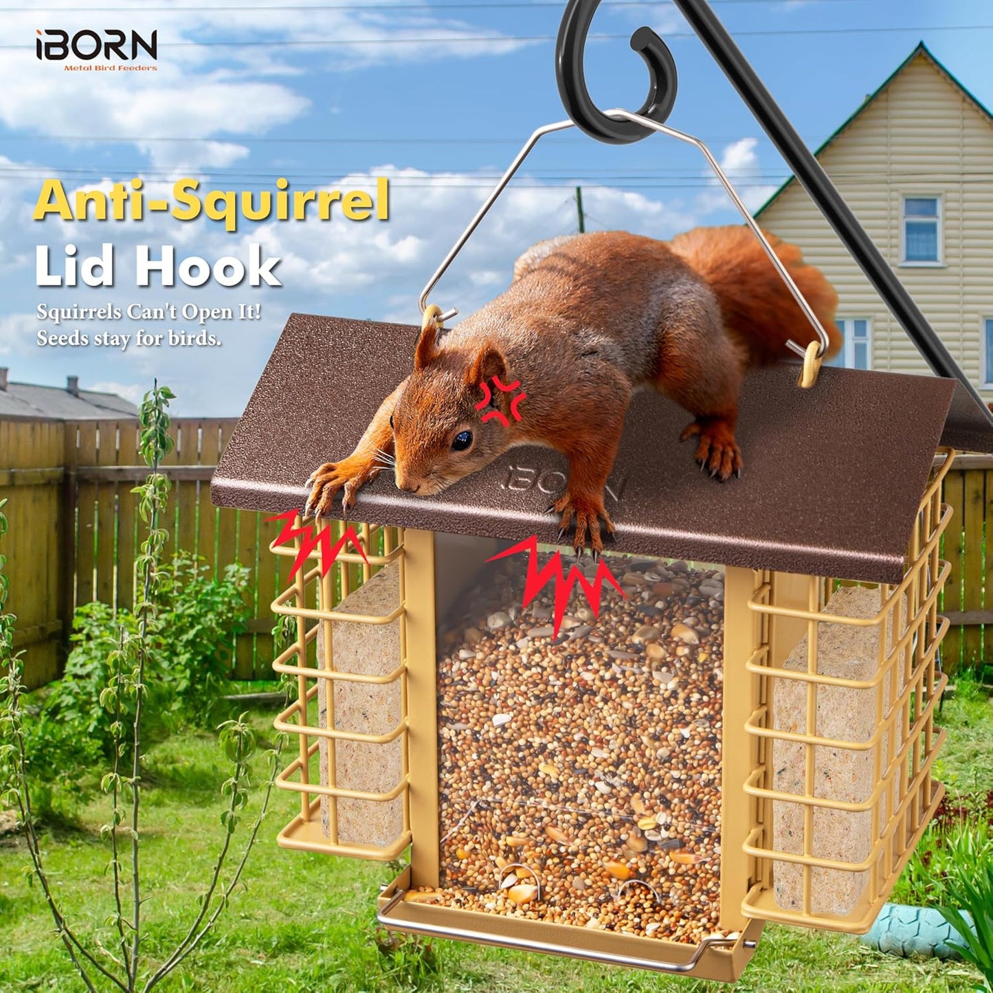 iBorn Bird Feeders for Outdoors,Bird Feeder with Double Suet Holders,Suet Feeder for Outside Hanging,Large Weatherproof Metal Roof,Easy to Refill & Clean,3.2 LBs Seed Capacity + 2X Cakes,1 Pack,Coffee