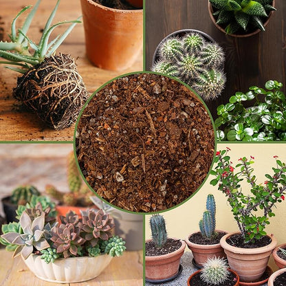 Cactus and Succulent Potting Mix (8 Quarts), Special Blend-Fast Draining and Desert-Style Gritty