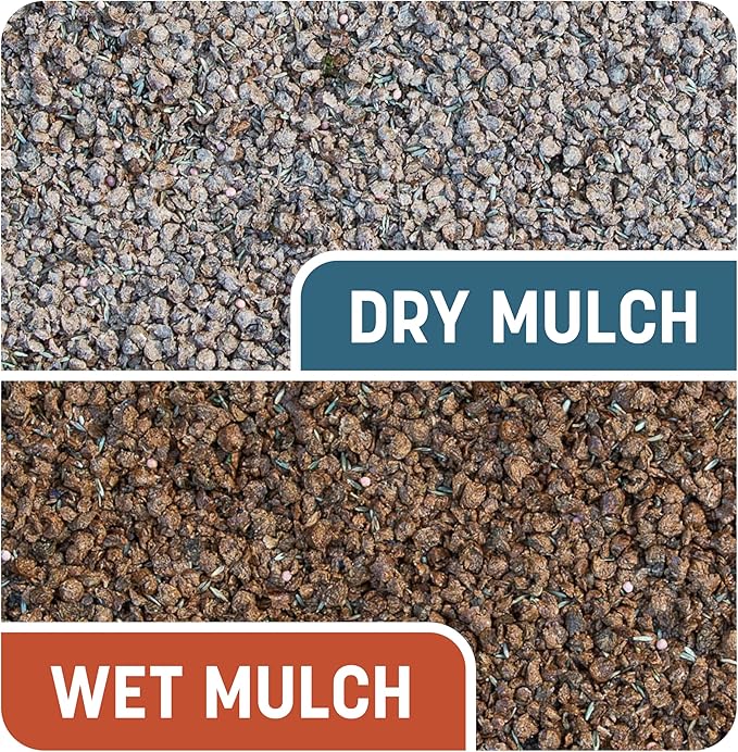 Pennington Smart Patch Bermudagrass Mix 10 lb