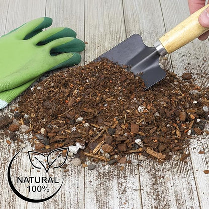 Cactus and Succulent Potting Mix (2 Quarts), Special Blend-Fast Draining and Desert-Style Gritty