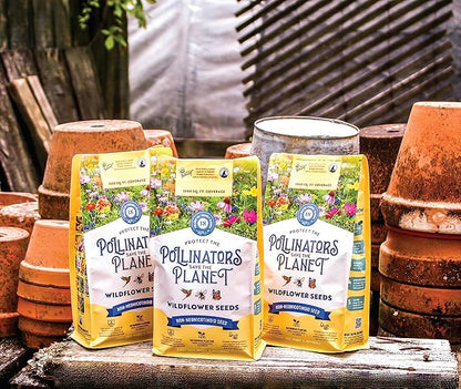 BUZZY Wildflower Pollinator Seed Mix (1lb Bag), 18 Pollinator-Friendly Varieties, Protect The Pollinators & Save The Planet, Coneflower, Sunflower, Calendula, Cosmos, & More, Growth Guaranteed