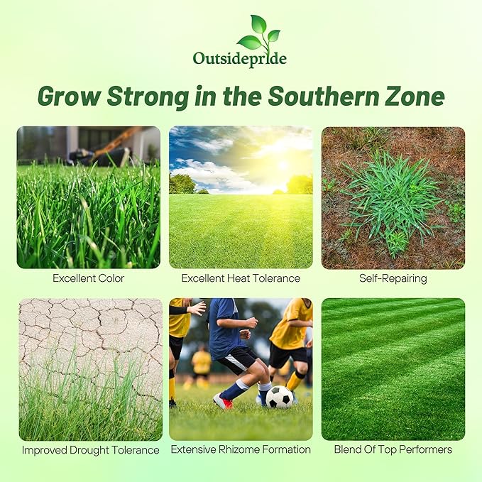 Outsidepride Combat Extreme Southern Zone Grass Seeds for Lawn - 10 lbs. SPF 30 Heat & Drought Tolerant Mix of Turf Type Fescue & Hybrid Bluegrass Seed with OptiGrowth Coating Enhanced Germination