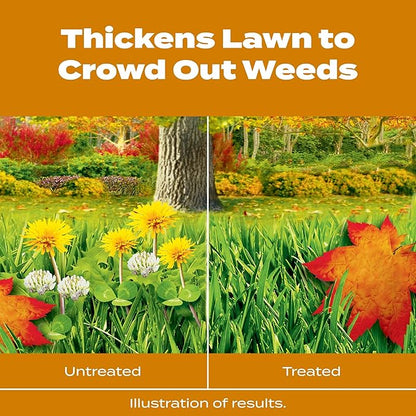 Scotts Turf Builder WinterGuard Fall Weed & Feed3, Weed Killer Plus Fall Fertilizer, 12,000 sq. ft, 34.3 lbs.