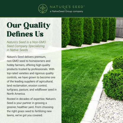 Nature’s Seed TWCA Water-Wise Blue Ribbon Mix, Kentucky Bluegrass and Perennial Ryegrass Grass Seed Blend, High-Traffic, Shade Tolerant, for Garden, Lawn, Yard, 5 lbs