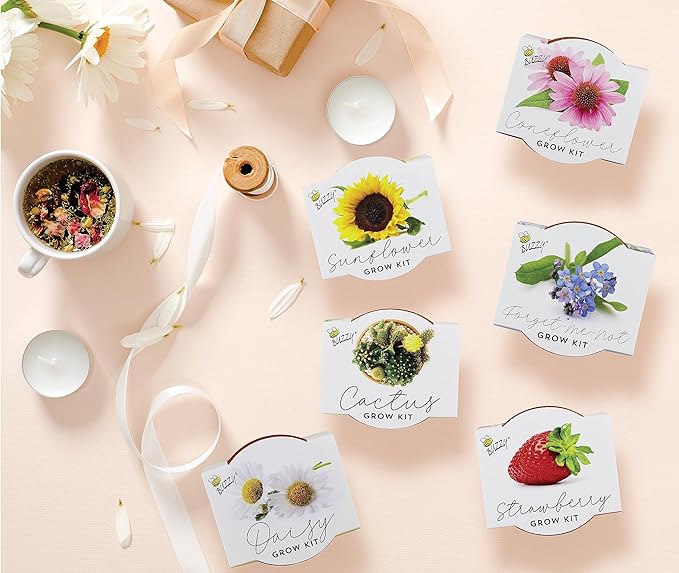 BUZZY Seeds Terracotta Mini Grow Pots 6-Pack – Indoor Gardening Seed Starter Kit with Herbs & Flowers – DIY Grow Your Own Plants Kit for Beginners