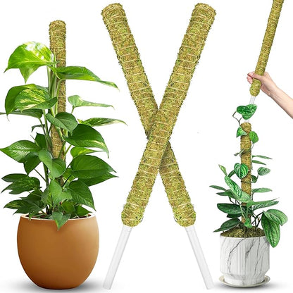 DUSPRO Natural Stackable Moss Pole for Plants Monstera, Forest Moss Sticks, Monstera Plant Support, Handmade Plant Stakes for Indoor Plants for Potted Plant to Grow Upward 02 pcs 22''