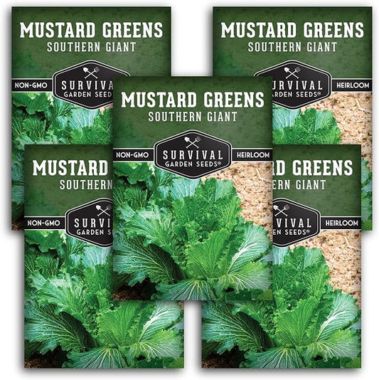 Southern Giant Mustard Green Seeds for Planting – Heirloom Non-GMO Spicy Greens, Heat Tolerant and Slow to Bolt for Home Vegetable Gardens - Survival Garden Seeds (5 Packs)