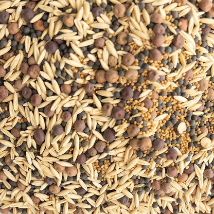 Cover Crop Seed Mix Organic - Pollinator & Bee Friendly Cover Crop Mix - 1 lb ~6,800 Seeds - Clover Cover Crop Blend - Includes Hairy Vetch Cover Crop Seeds, Crimson Clover, Peas, & Oats