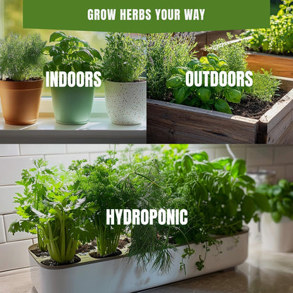 18 Culinary Seeds Variety Pack - Herb Garden Starter Kit with Plant Markers | 4100+ Non-GMO Heirloom Herb Seeds for Indoor, Outdoor Planting: Basil, Cilantro, Parsley, Oregano, Rosemary & Thyme Seeds