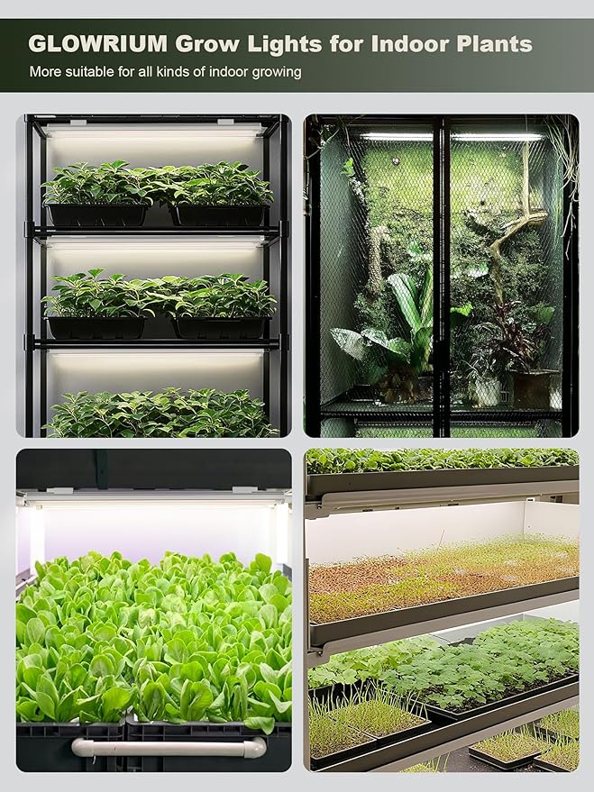 GLOWRIUM Smart Grow Lights for Indoor Plants with APP, 15" Full Spectrum Grow Light Strips, G6 Plant Light Strip with auto Timer, 3 Angle dimming Levels for Plant Shelf, 2-Pack (Silver, 16W)