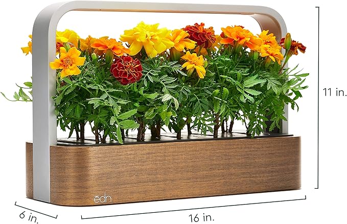 EDN SmallGarden with Basil SeedPods, Indoor Grow Smart Garden for iOS Devices - Fresh Home Grown Herbs, Plants and Flowers - Grow up to 10 Different Plants at Once