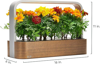 EDN SmallGarden with Basil SeedPods, Indoor Grow Smart Garden for iOS Devices - Fresh Home Grown Herbs, Plants and Flowers - Grow up to 10 Different Plants at Once