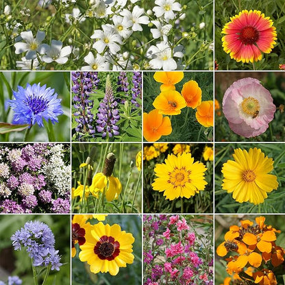 Ferry-Morse Colorado Western Mix Bulk Wildflower Seeds, 1lb