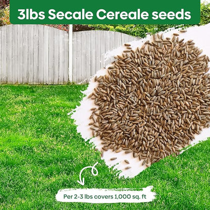 Winter Rye Seeds, 3lbs Non-GMO Cover Crop Seeds, Annual Secale Cereale to Plant for Lawn Alternative, Rye Grass Seed Grown in The USA