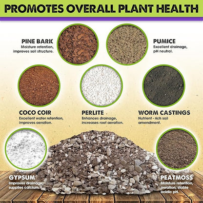 DUSPRO Recycle Pre-Mixed House Plant Soil Aroid Potting Mix 7-in-1 with Coco Coir, Peat Moss, Perlite, Worm Casting, Pumice, Pine Bark & Gypsum, Tropical Potting Mix for Indoor Plants, Herbs 2QRT