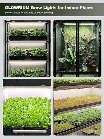 GLOWRIUM Smart Grow Lights for Indoor Plants with APP, 15" Full Spectrum Grow Light Strips, G6 Plant Light Strip with auto Timer, 3 Angle dimming Levels for Plant Shelf,2-Pack (White, 16W)