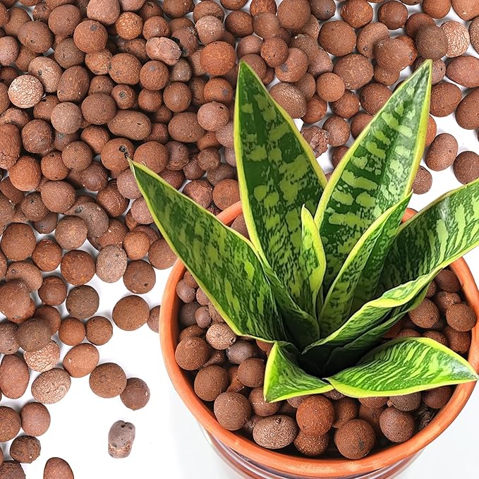 T4U Leca Clay Pebbles for Plants, 2.3qt 10-20 mm Clay Balls for Indoor Plants, Natural Clay Pebbles for Orchid Potting Mix, Hydroponic, Leca Pots, Plant Drainage, Garden Soil