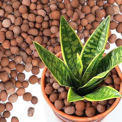 T4U Leca Clay Pebbles for Plants, 2.3qt 10-20 mm Clay Balls for Indoor Plants, Natural Clay Pebbles for Orchid Potting Mix, Hydroponic, Leca Pots, Plant Drainage, Garden Soil