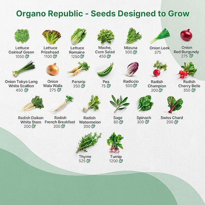 50 Winter Vegetable Garden Seeds Variety Pack - 43,450+ Non-GMO Heirloom Seeds for Outdoors & Indoor Home Gardening, Including Kohlrabi, Lettuce, Radish, Onion, Choy, Spinach, Cauliflower, Collards