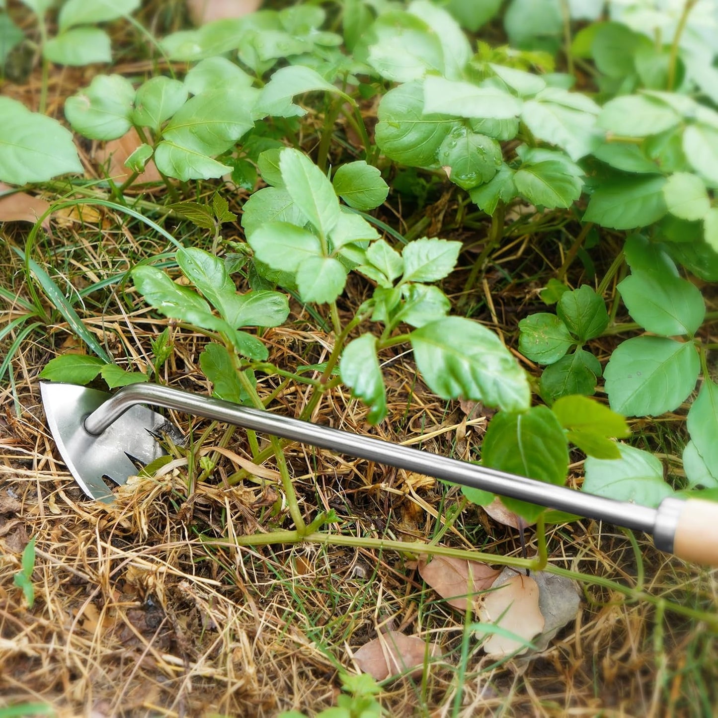 3 Pack Weed Puller Tool, Stainless Steel Crack Weeder Tool, Uprooting Weeding Tool, Paving Brick Moss Removal, L-Shape Gardening Crack Sickle Lawn Edger and Driveway Weeding Tools Gardening