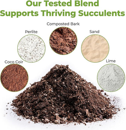 Succulent & Cactus Soil Mix by Perfect Plants (1QT)