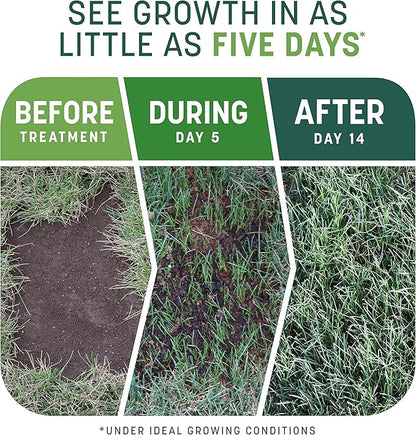 Penn Smart Patch S&S N